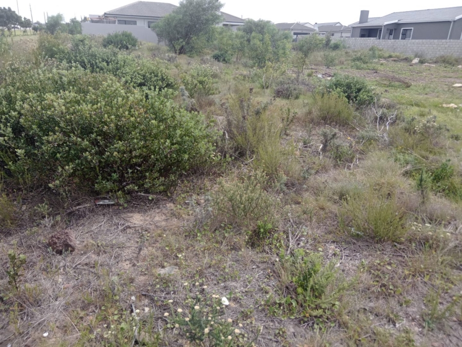 Commercial Property for Sale in Fountains Estate Eastern Cape